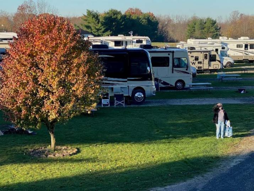 Fall foliage with motorhomes in the background.